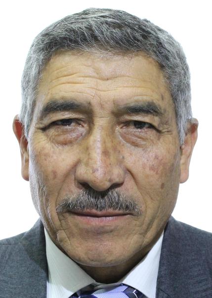 Manuel Enrique Vera Paredes