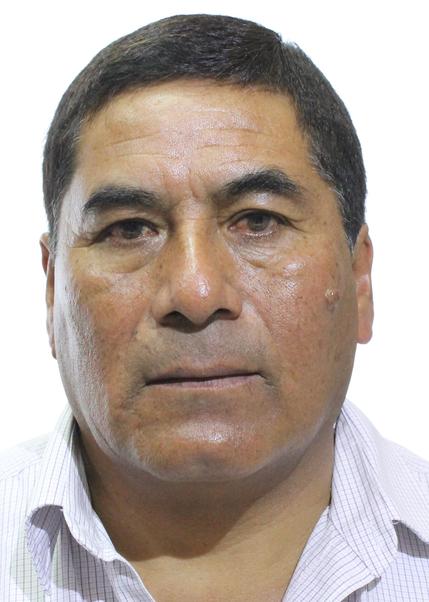 Pedro Victor Gonzales Llerena