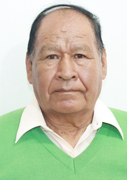Antonio Mario Meneses Mamani
