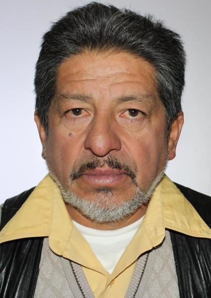Miguel Angel Manchego Llerena