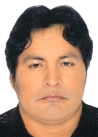 ELMER FABIAN ALDANA CHECALLA