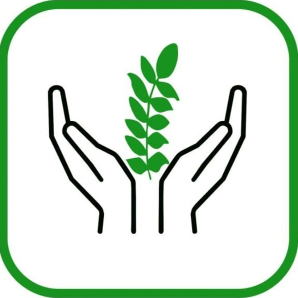 Coalicion Transformadora Tierra Verde Coalicion Transformadora Tierra Verde